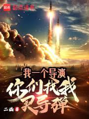 我一个导演,你们找我买飞弹?