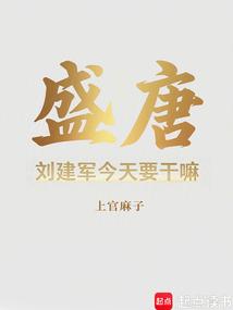 盛唐:刘建军今天要干嘛