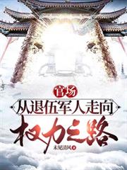 官场:从退伍军人走上权力之路