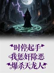 时停起手,我惩奸除恶爆杀天龙人