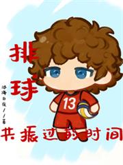 排球:共振过的时间