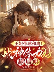王妃带球和离!战神体力好翻墙哄