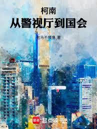 柯南:从警视厅到国会