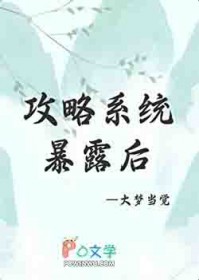 攻略成功后,系统暴露了