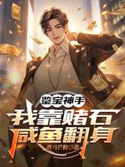 鉴宝神手,我靠赌石咸鱼翻身