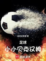 ����СС���˺�ķ