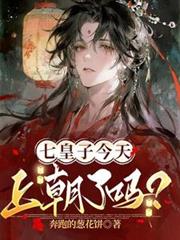 七皇子今天上朝了吗?