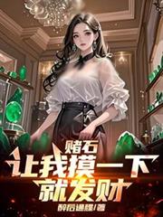 赌石:让我摸一下就发财